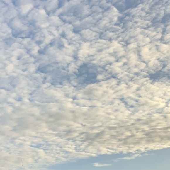 Meet your Posher, Olivia - Picture 1 of 1